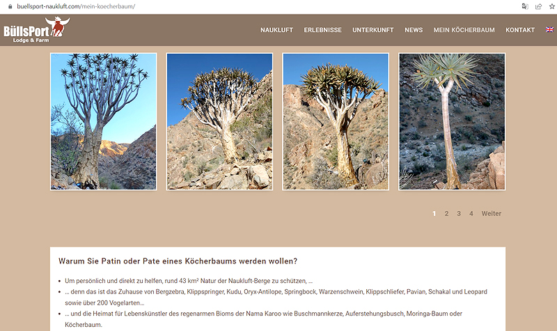 Fotogalerie Initiative Mein Köcherbaum Patenschaft Pate Köcherbaumschlucht BüllsPort NAUkLuFT Namibia