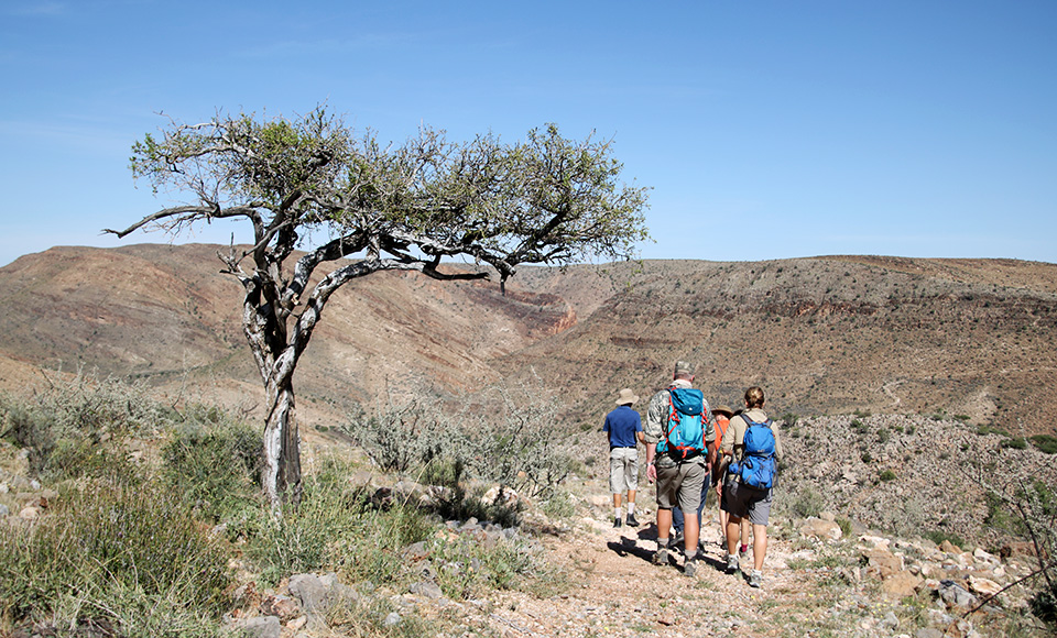 Wandern Namibia Naukluft Plateau Wanderweg Wanderer BüllsPort Lodge & Farm