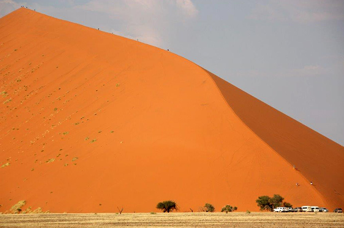 Düne 45 Sesriem Sossusvlei Namib Namibwüste Namibia